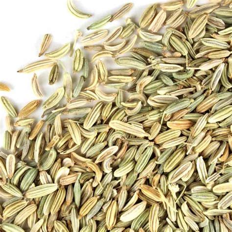Bulk Fennel Seed Whole Organic Monterey Bay Herb Co