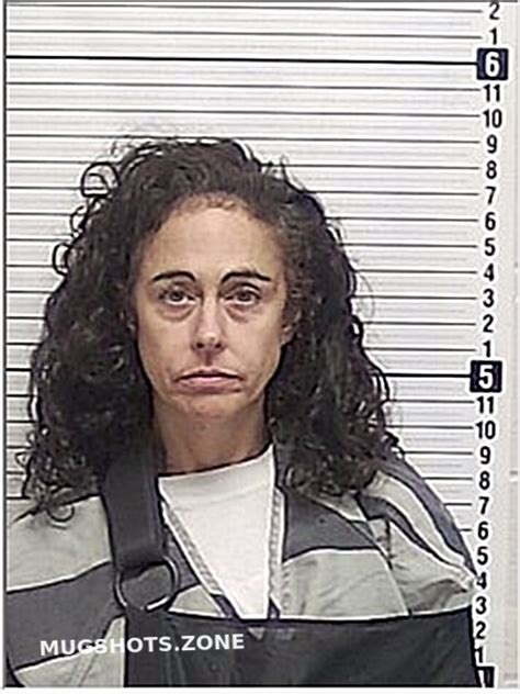 Herring Dana Renee 03042024 Bay County Mugshots Zone