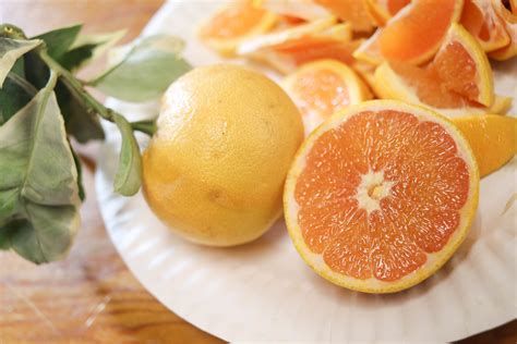 Variegated Cara Cara Navel Orange | California Rare Fruit Growers