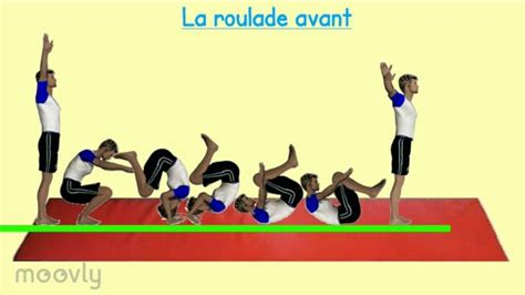 Roulade Avant Gymnastique Au Sol Gym Gymnastique