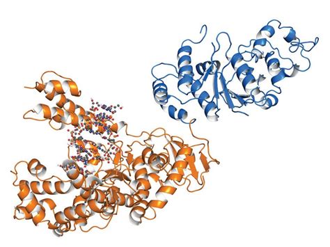 High-Resolution Separation of a Fusion Protein