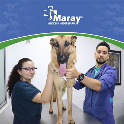 Maray Medicina Veterinaria En Cali