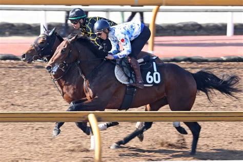 【デイリー杯2歳s】ダノンタッチダウン Cw軽めに併入、安田隆師「十分だと思います」 スポニチ競馬web