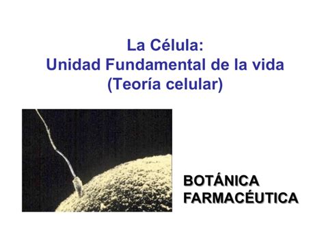 La Celula Unidad Fundamental De La Vida