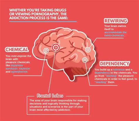 Scary Things Porn Does To Your Brain Damage Misogyny