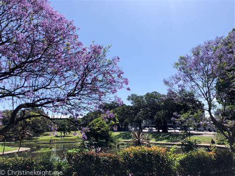 Victoria Park, Sydney CBD - Adventure, baby!