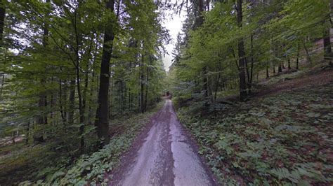 Slovenia — Plonk It