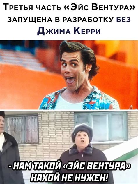 ﻿Третья часть «Эйс Вентура» ЗАПУЩЕНА В РАЗРАБОТКУ БЕЗ Джима Керри ...