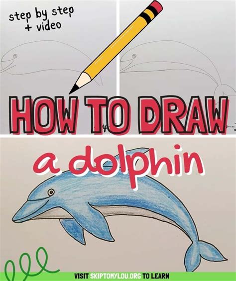 How To Draw A Dolphin Step By Step Realistic