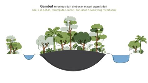 Upaya Menjaga Lahan Gambut Papua Bicara Untuk Rakyat