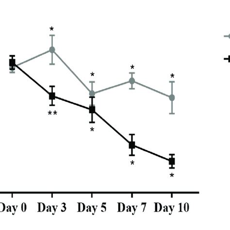 Gene expression levels of A VEGF B FGF 2 C PDGF β and D