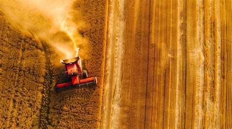 Aerial View Of A Combine Harvester Harvesting A Field Of Wheat