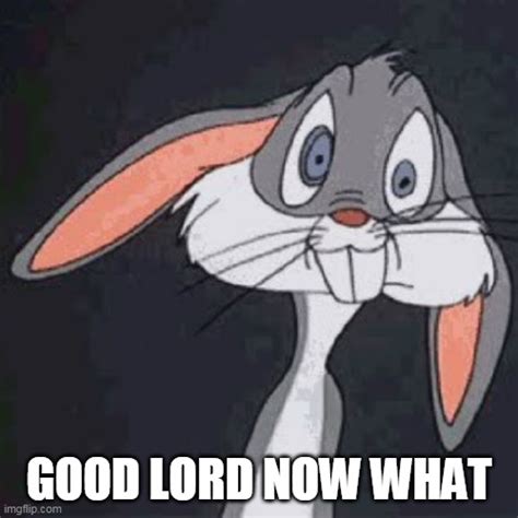Yes Lord Meme