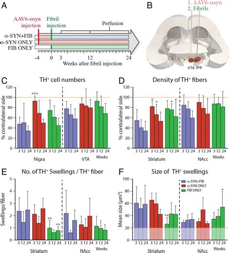 Modeling Parkinsons Disease Pathology By Combination Of Fibril Seeds