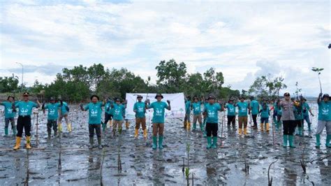 Hari Lingkungan Hidup Sedunia PT Vale IGP Pomalaa Tanam 1000 Bibit