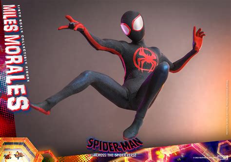 Hot Toys Mms Spider Man Across The Spider Verse Miles Morales Hot Toys Complete Checklist