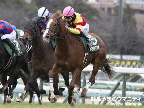 【高松宮記念】トウシンマカオは美浦wコースで馬なり11秒4 高柳師「中2週なので疲れを残さないように」｜競馬ニュース｜競馬予想のウマニティ