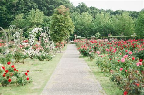 Tower Hill Botanic Garden | Every.org