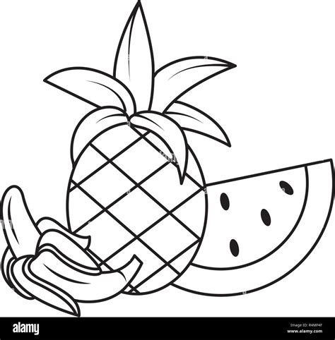 Delicious Fruits Pineapple With Banana And Watermelon Cartoon Vector