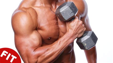 Best Muscle Building Exercises Muscle Growth