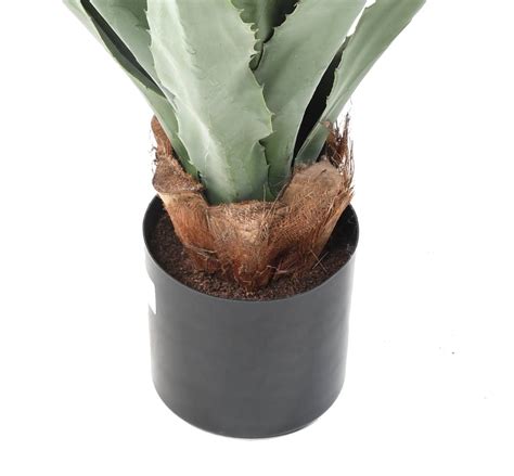 Agave Furcraea Artificielle 175 00