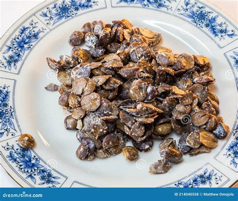 Locust Bean Unripe Carob Fruit Of Ceratonia Siliqua A Flowering