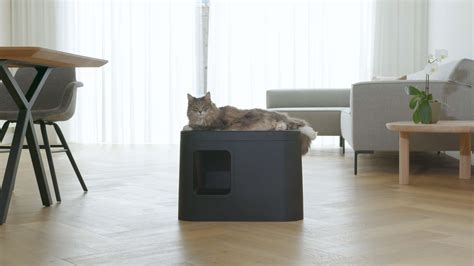 gizmo litterbox  litter beautiful