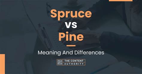 Spruce vs Pine: Meaning And Differences