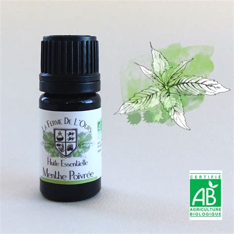 Huile Essentielle Bio Menthe Poivr E La Ferme De L Ours