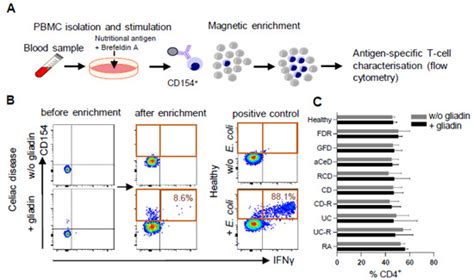 Ijms Free Full Text Analysis Of Circulating Food Antigen Specific T