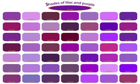 Roxo Violeta E Lilas - Vetores de Tons De Roxa Violeta E Lilás Cor Isolado No Fundo Branco ...