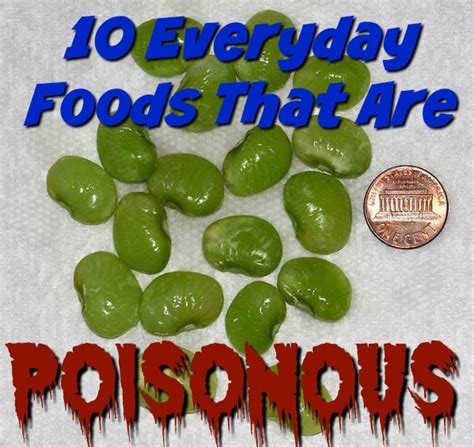 10 Everyday Foods That Are Poisonous — Info You Should Know