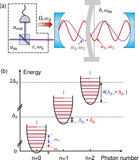 Figure From Controllable Nonlinearity In A Dual Coupling