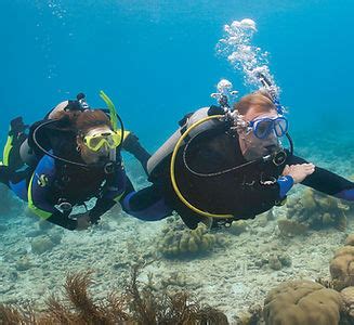 PADI Diving Courses/Ocean Ventures Fiji/Natewa Bay, Savusavu, Fiji