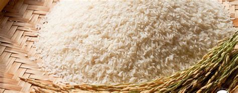 Rice Imports Resume In Iran As Seasonal Ban Ends Financial Tribune