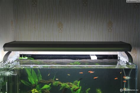 Лампа для аквариума Aliexpress T5 HO LIGHT REEF HOOD 6X39W 100cm T5HO ...