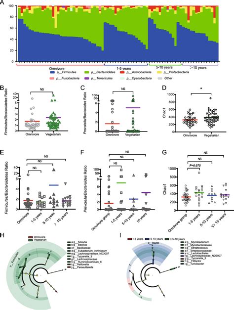 A Distribution Of Predominant Gut Bacterial Phylotypes In Participants