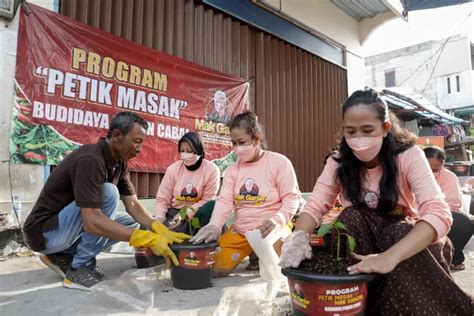 Lewat Program Petik Masak Relawan Ganjar Beri Bantuan Bibit Cabai