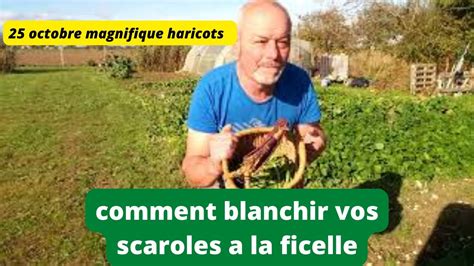 Comment Blanchir Vos Scaroles A La Ficelle Et Pourquoi YouTube