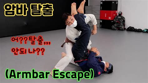 [주짓수 기술] 암바탈출 Armbar Escape Youtube