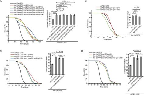 H K Me Methylation Limits The Lifespan Of Daf Mutants In C