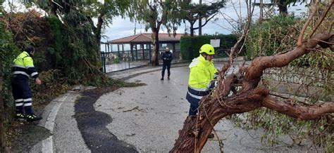 Maltempo In Penisola Sorrentina Tra Alberi Caduti E Blackout