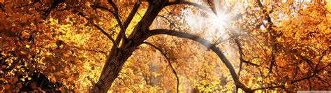 Fall Dual Monitor Wallpapers - Top Free Fall Dual Monitor Backgrounds ...