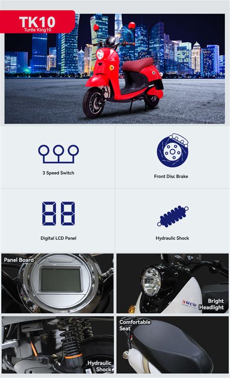 Model Wtk10 W Series Electric Scooter