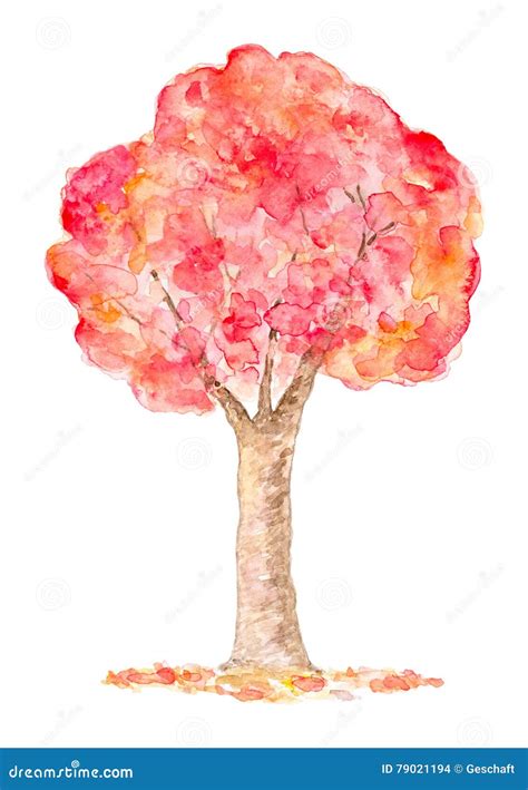 Acquerello Autumn Tree Disegnato A Mano E Dipinto Illustrazione Di