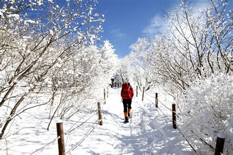 Sobaeksan National Park, Korea | 대한민국