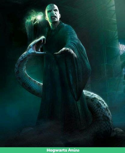 Nagini A Cobra Do Milorde ⚡harry Potter⚡ Amino