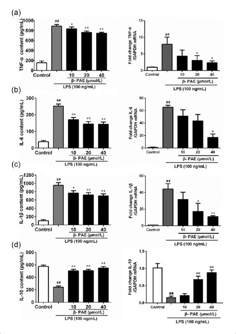 Anti Inflammatory Effects Of Pae On The Protein And Mrna Expressions