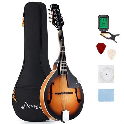 Best Mandolin Buys Best Beginner Mandolin