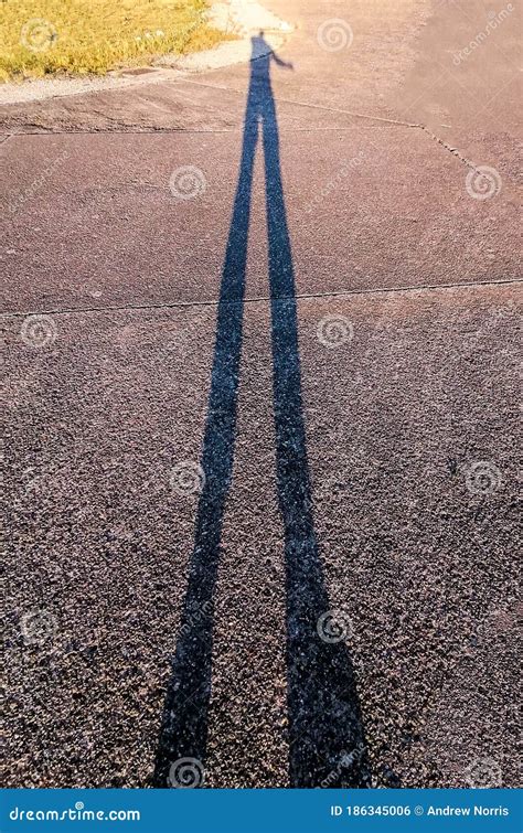 Low Sun Shadow Stock Photo Image Of Tall Outline Copy 186345006